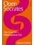 Open Socrates : The Case For A Philosophical Life 1