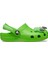 Classıc I Am Dınosaur Bebek Terlik 209700-3WA 2