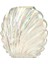 Deco Pearl Vazo - Sedef - 17 cm 2