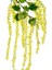 Yapay Gypso Sarkan Sarı 105 Cm. 2