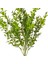 Yapay Bitki Şimşir Demet Koyu Yeşil 55 Cm. 2