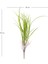 Yapay Saz Demet Açık Yeşil 75 Cm. 4