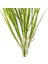 Yapay Saz Demet Yeşil 65 Cm. 2
