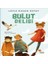 Bulut Delisi 1