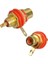 IC-261C Rca Gold Şase 1