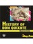 History Of Don Quixote-Stage 4 1