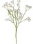 Yapay Gypso Cipso Beyaz 60 Cm. 1