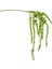 Yapay Gypso Sarkan Yeşil 105 Cm. 1