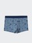 Yeni Sezon Baskili Erkek Cocuk Boxer 3'lu - S5HN68Z4 2