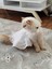 Kedi &köpek Gelinlik Abiye Elbise 3