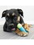 Core Strength Köpek Çiğneme Oyuncağı 17.5 Cm 1