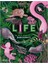 Life 1
