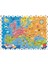 Dedektif Puzzle Avrupa Haritası 3