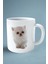 Exotic Shorthair Kedi Isimli Kişiye Özel Baskılı Kupa Bardak Model 12 1