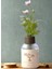 JUNİBELİW 1 Adet Koku Giderici Kokusu Oda Parfümü Oda Kokusu Koku Giderici Baby Powder Pudra 50ML YAPAY ÇİÇEKLİ 1