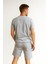 Tommy Şortlu Takım Clasic Düz Gri 3