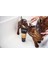 Animology Derma Dog Köpek Şampuanı 250 ML 2