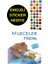Emojili Sticker Hediye - Okul Öncesi Resimli Kitaplar - İyi Geceler Fındık 1