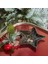 New Year Star Dekoratif Tabak 15 cm 2