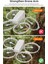 Djı Flip Drone Kol Şok Tutucu Sunnylife Djı Flip Drone Aksesuarları Için Çarpışma Önleyici ve Darbe Önleyici (Yurt Dışından) 5