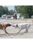 Safestix Termoplastik Köpek Oyuncağı Large 71 Cm 2