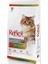 Tavuklu Renkli Taneli Yetişkin Kedi Maması 15kg 1