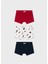 Erkek Çocuk Üçlü Boxer Set 1