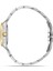 FL21616AWT-D6 Quartz Çelik Altın/gri Yeşil Kadran 27 mm Kadın Kol Saati 2