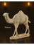 Aykam (Gold Deve) Biblo & Heykel & Büst & Figür 1