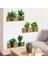 Raflı Bitki Tasarımlı Yapışkanlı Sticker 20*30 cm 3lü Set 2