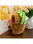 Ovozı 25CM Sevimli Capya Su Yunusu Peluş Oyuncak Bebek Bebek Yastık Hediye (Yurt Dışından) 1