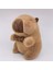 Ovozı 25CM Sevimli Capya Su Yunusu Peluş Oyuncak Bebek Bebek Yastık Hediye (Yurt Dışından) 1