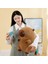 Ovozı 30CM Sevimli Capya Su Yunusu Peluş Oyuncak Bebek Bebek Yastık Hediye (Yurt Dışından) 1