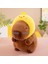 Ovozı 25CM Sevimli Capya Su Yunusu Peluş Oyuncak Bebek Bebek Yastık Hediye (Yurt Dışından) 1