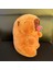 Ovozı 25CM Sevimli Capya Su Yunusu Peluş Oyuncak Bebek Bebek Yastık Hediye (Yurt Dışından) 1