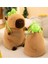 Ovozı 25CM Sevimli Capya Su Yunusu Peluş Oyuncak Bebek Bebek Yastık Hediye (Yurt Dışından) 1