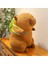 Ovozı 45CM Sevimli Capya Su Yunusu Peluş Oyuncak Bebek Bebek Yastık Hediye (Yurt Dışından) 1