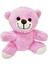 Sevimli Peluş Pembe Ayıcık 1