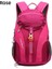 15-25L Açık Dağcılık Sırt Çantası Gündelik Su Geçirmez Spor Sırt Çantası Erkekler Kadınlar Büyük Kapasiteli Bisiklet Yürüyüşü Seyahat Backpackcolor: Gül/boyut: 15L (Yurt Dışından) 1