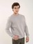 Taş Erkek Regular Fit Bisiklet Yaka Sweatshirt 3