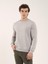 Taş Erkek Regular Fit Bisiklet Yaka Sweatshirt 4
