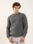 Antrasit Erkek Regular Fit Bisiklet Yaka Sweatshirt 2