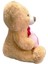 35 cm Kalp Tutan Ayı Peluş Haley 2