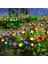 Solar 8 Top Çok Renkli Ateş Böceği LED Bahçe Aydınlatma Solar Rgb Bahçe Süsü 1
