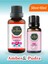 Amber Aşk 30ML 10 ml Pudra Uçucu Yağ Buhurdanlık Yağı Doğal Uçucu Yağ Oda Kokusu Uçucu Yağlar 1