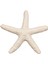 Düğün Dekoru, Ev Dekorasyonu ve El Sanatları Projesi Için 15 Parça Kremsi Beyaz Kalem Parmak Denizyıldızı (Yurt Dışından) 1