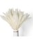 40 Adet Doğal Kurutulmuş Beyaz Pampas Çim 45 cm Kaık ve Sallanan Dıy Boho Bitki Düğün Çiçek Aranjmanları Dekor Için (Yurt Dışından) 1