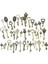 46 Adet/takım Mix Kit Eski Görünümlü Retro Antik Pirinç Bronz Dekoratif Vintage Anahtar Steampunk Charms Kolye Takı Için (Yurt Dışından) 1