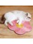 Sisal Kedi Tırmalama Tahtası Kedi Tırmalama Direği Matı Oyuncak Yatak Matı Kediler Için Pençe Bileyici Tırnak Bileme Pedi Evcil Hayvan Mobilyaları (Yurt Dışından) 4