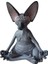 Sphynx Kedi Meditasyon, Düşünen Kedi Heykeli, Meditasyon Düşünen Kedi, Sphynx Tüysüz Kedi Meditasyon Tahsil Dekor (Yurt Dışından) 1